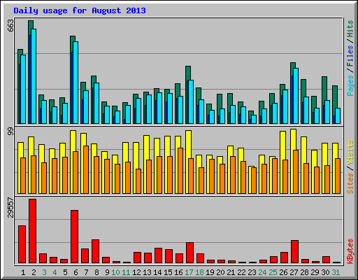 Daily usage for August 2013