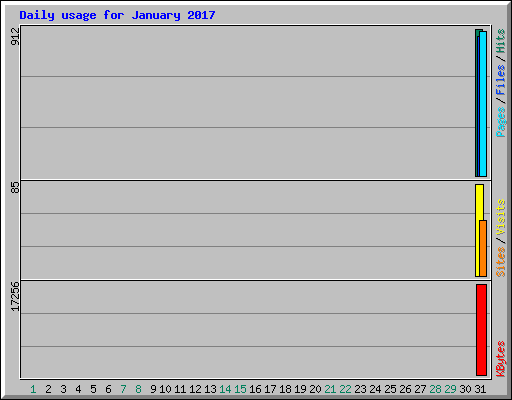 Daily usage for January 2017