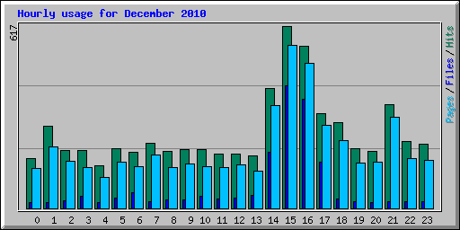 Hourly usage for December 2010