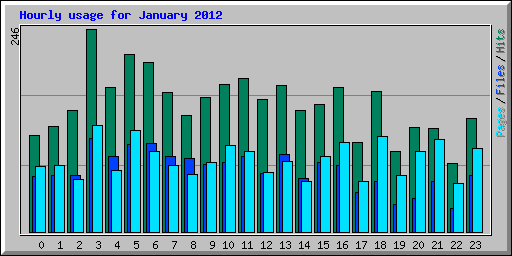 Hourly usage for January 2012