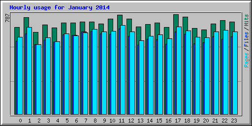 Hourly usage for January 2014